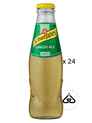 SCHWEPPES GINGER ALE CL.18x24pz VETRO VP