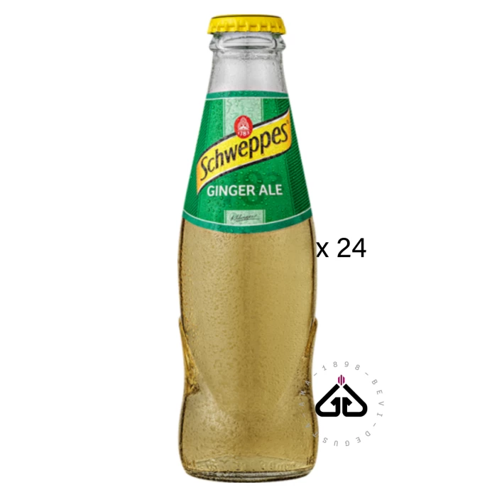 SCHWEPPES GINGER ALE CL.18x24pz VETRO VP