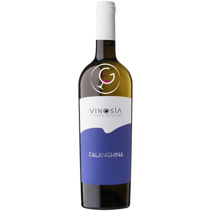 VINOSIA FALANGHINA IGT 2019 CL.75