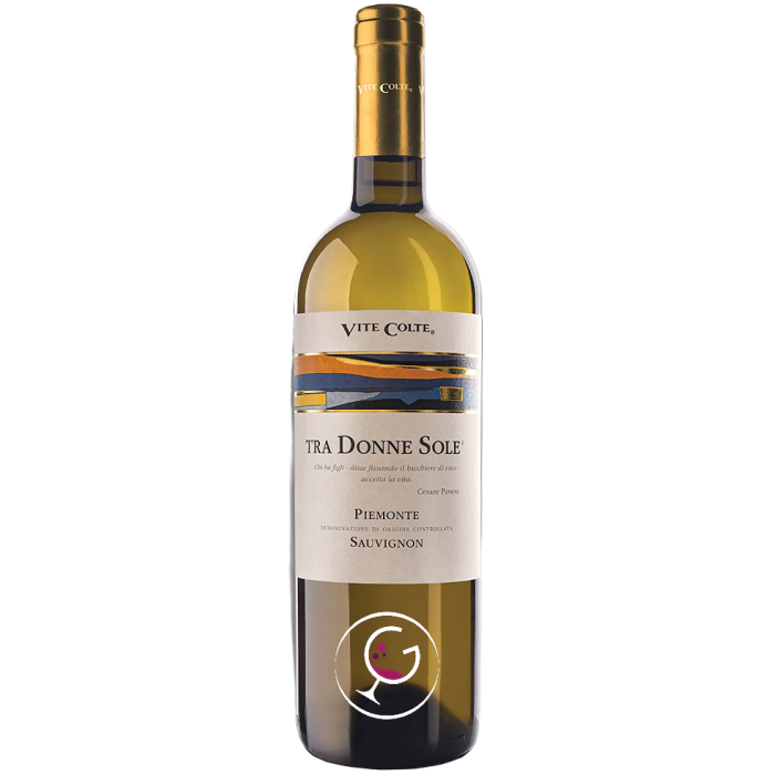 VITE COLTE SAUVIGNON PIEM.DOC TRA DONNE SOLE 2023 CL.75