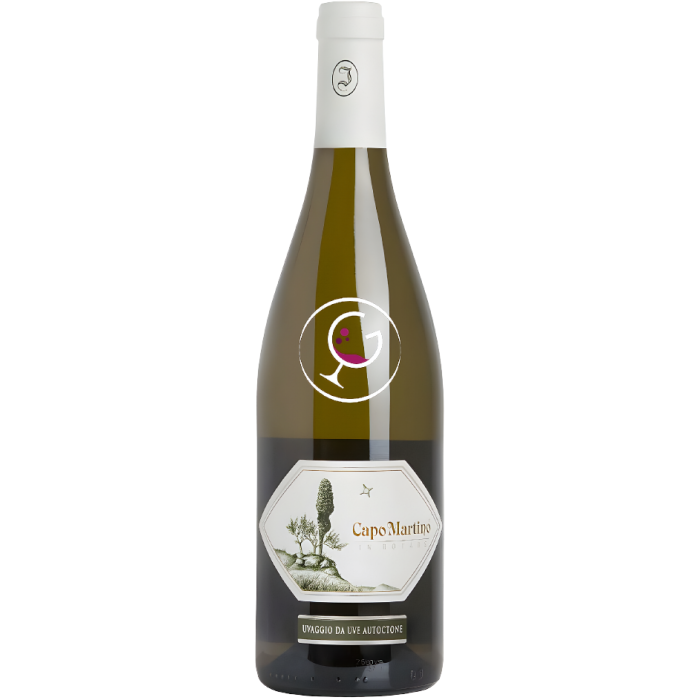 JERMANN IGT BIANCO CAPO MARTINO 2014-18 CL.75