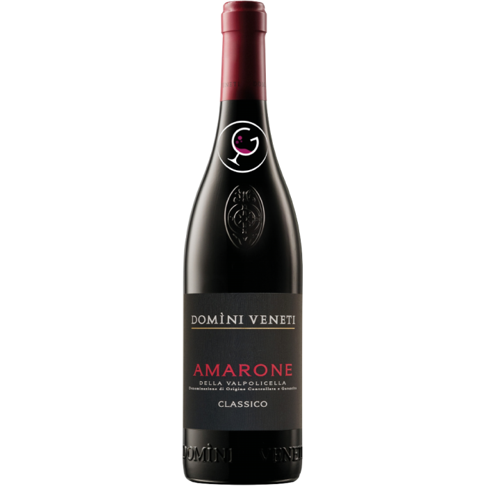 DOMINI VENETI VALP.DOCG AMARONE 2019 CL.75