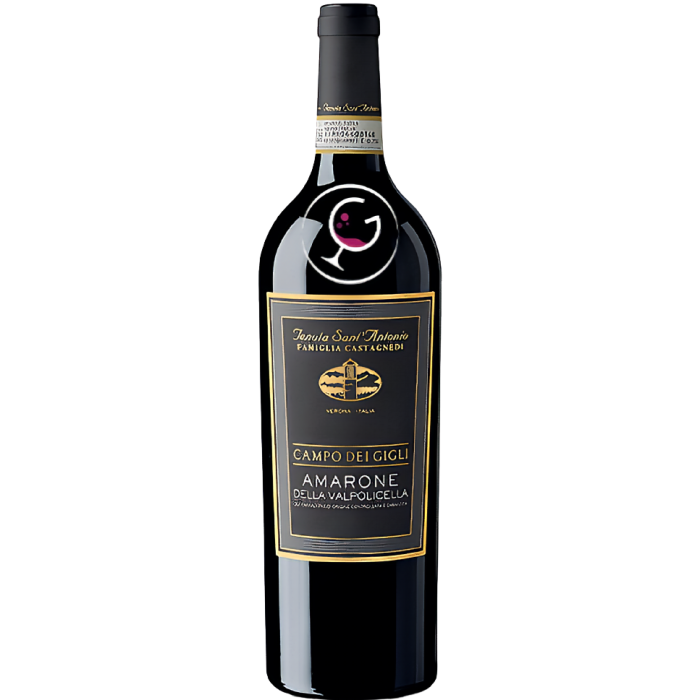 TEN.S'ANTONIO AMARONE VALP.DOCG CAMPO GIGLI 2012 CL.75