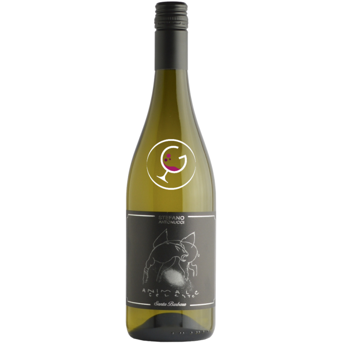 S.BARBARA SAUVIGNON IGT ANIMALE CELESTE 2022 CL.75