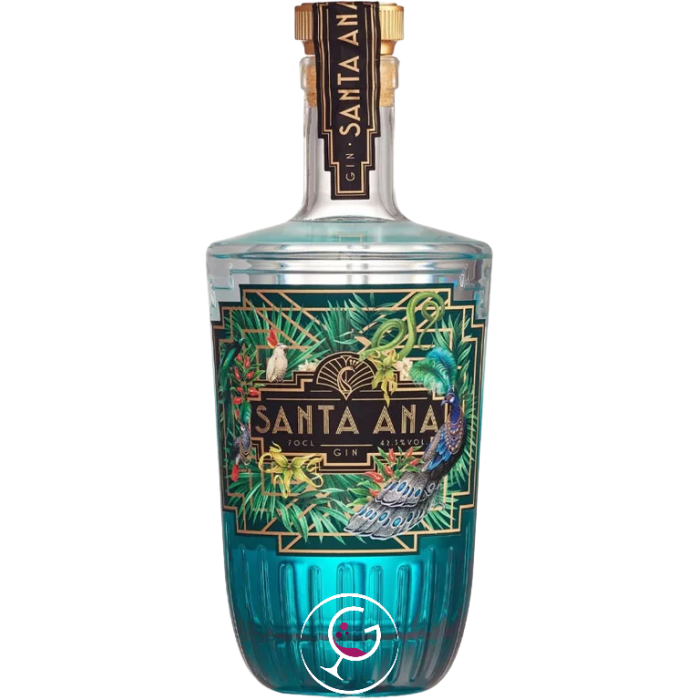 GIN SANTA ANA 42,3% CL.70