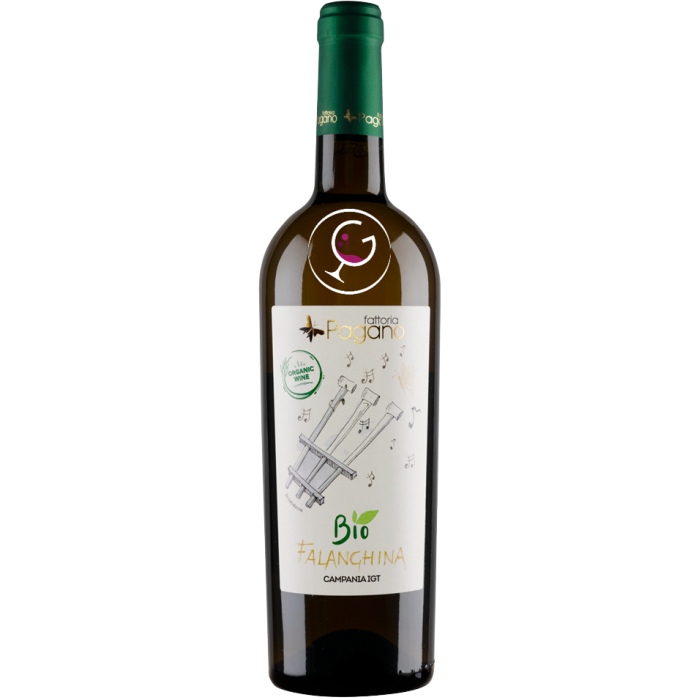 FATT.PAGANO IGT FALANGHINA 2022 CL.75 BIO #