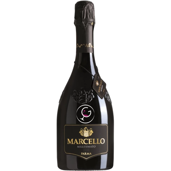 Lambrusco dell'Emilia IGP Marcello Nero Millesimato - Ariola