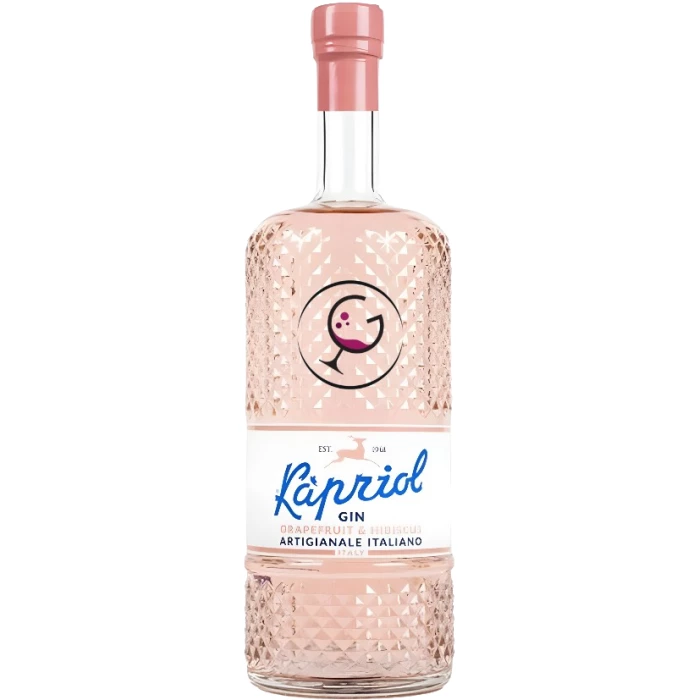 GIN mignon KAPRIOL GRAPEFRUIT 41,7% ML.50 VP