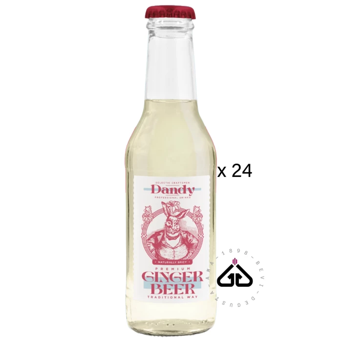 DANDY GINGER BEER CL.20x24pz VETRO VP VEG-G/F #